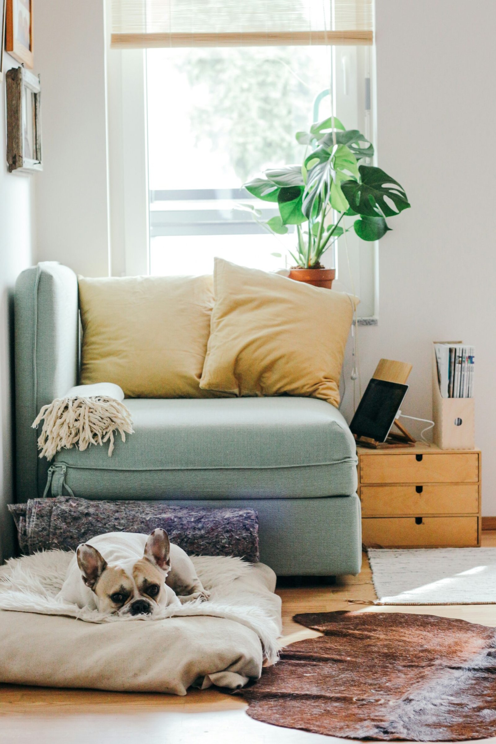 What to Consider Before Starting a Home Addition in Dallas